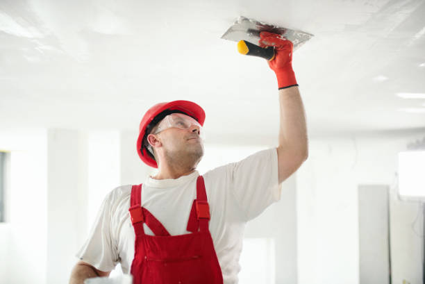 Best Crawl Space Mold Remediation  in Montevlo, AL