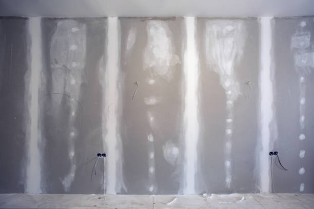 Best Dehumidification Services  in Montevlo, AL